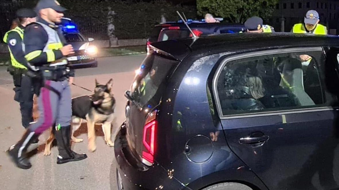 Sono stati controllati 79 veicoli e 87 persone, un ufficio mobile con medici e infermieri della polizia di Stato si è occupato dei test per l’uso di stupefacenti Sono stati controllati 79 veicoli e 87 persone, un ufficio mobile con medici e infermieri della polizia di Stato si è occupato dei test per l’uso di stupefacenti