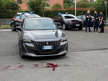 immagine articolo