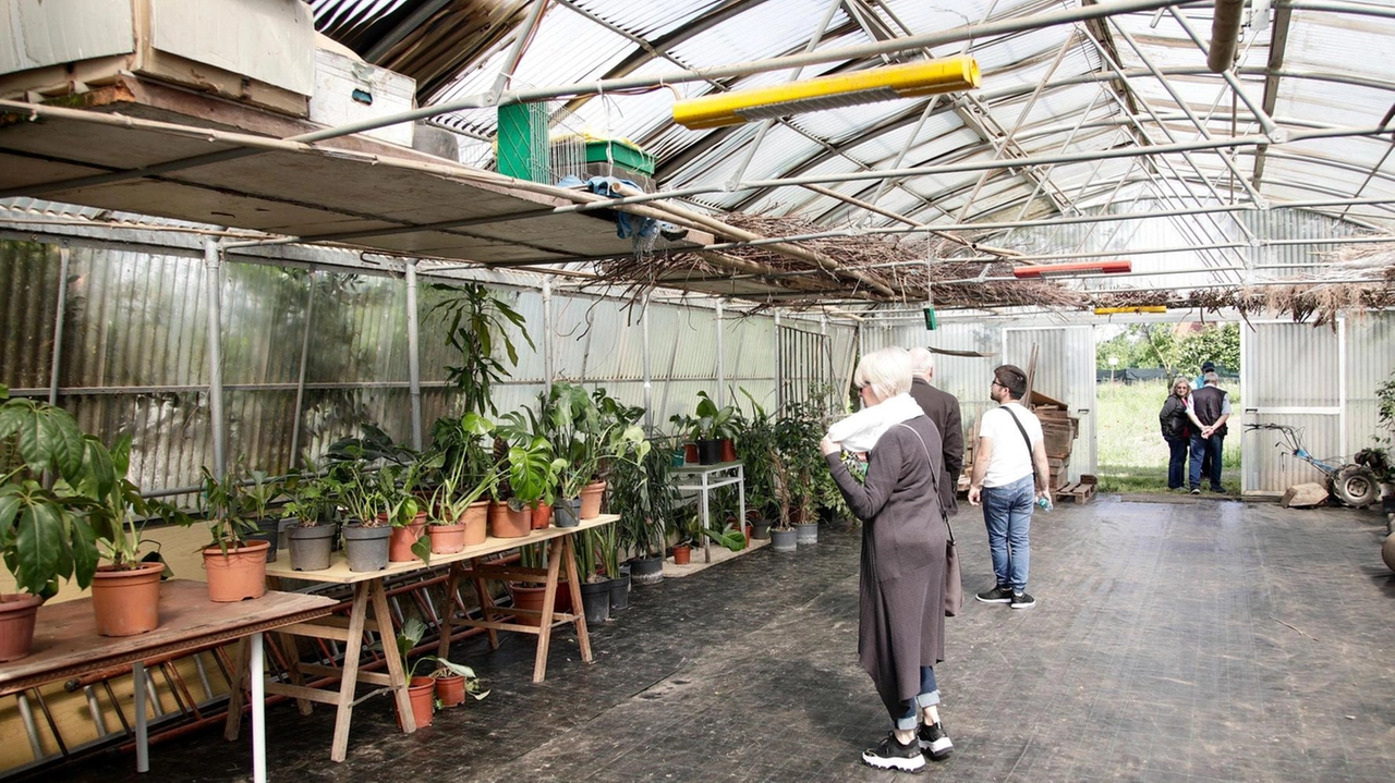 Il polo di inclusione sociolavorativa “Il Giardino“ si apre al territorio. Oggi il primo di 9 appuntamenti tra approfondimento e attività ludiche. Il polo di inclusione sociolavorativa “Il Giardino“ si apre al territorio. Oggi il primo di 9 appuntamenti tra approfondimento e attività ludiche.