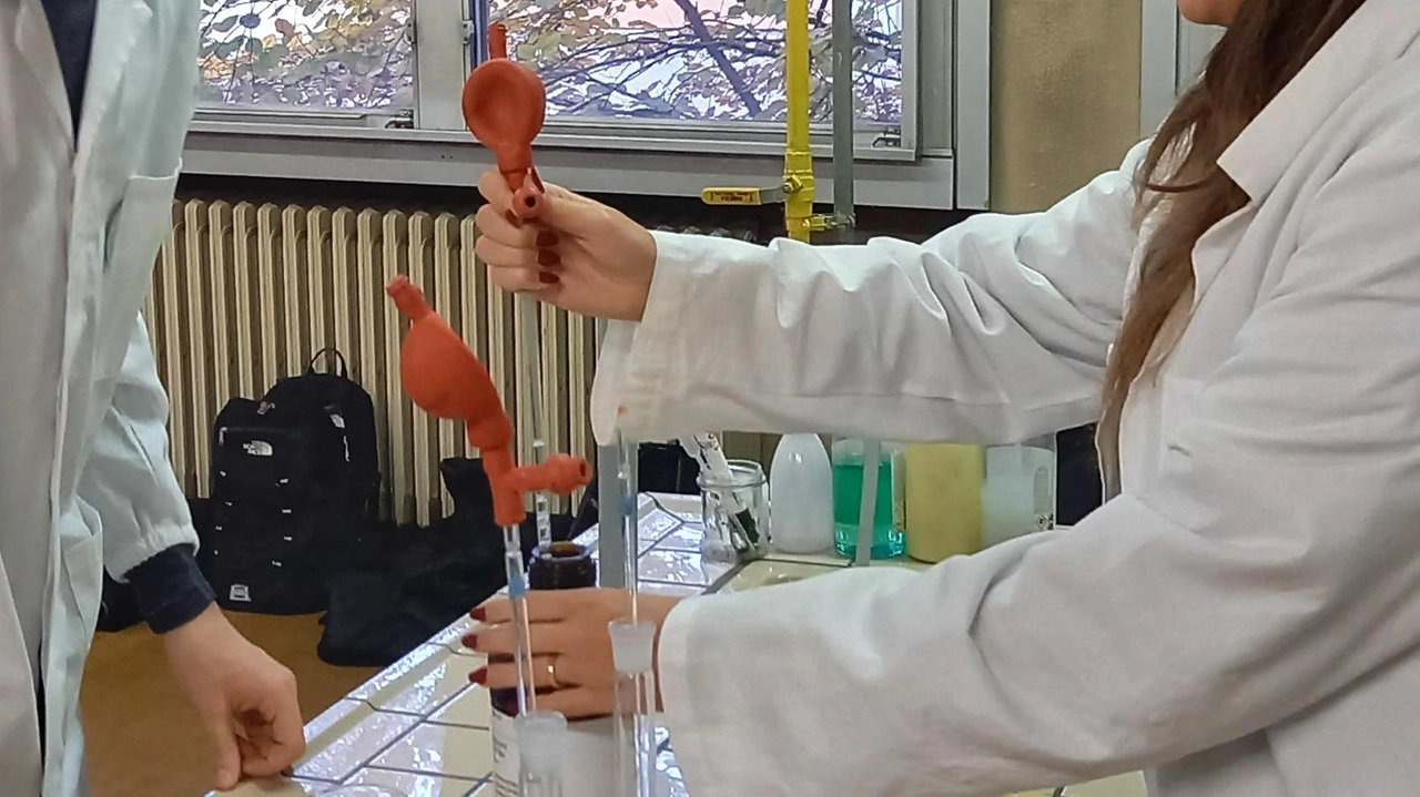 Lo scoppio in un locale del Politecnico in via Mancinelli dedicato alla ricerca. La donna, una tecnica, stava mescolando sostanze. Visitate altre 5 persone. Lo scoppio in un locale del Politecnico in via Mancinelli dedicato alla ricerca. La donna, una tecnica, stava mescolando sostanze. Visitate altre 5 persone.