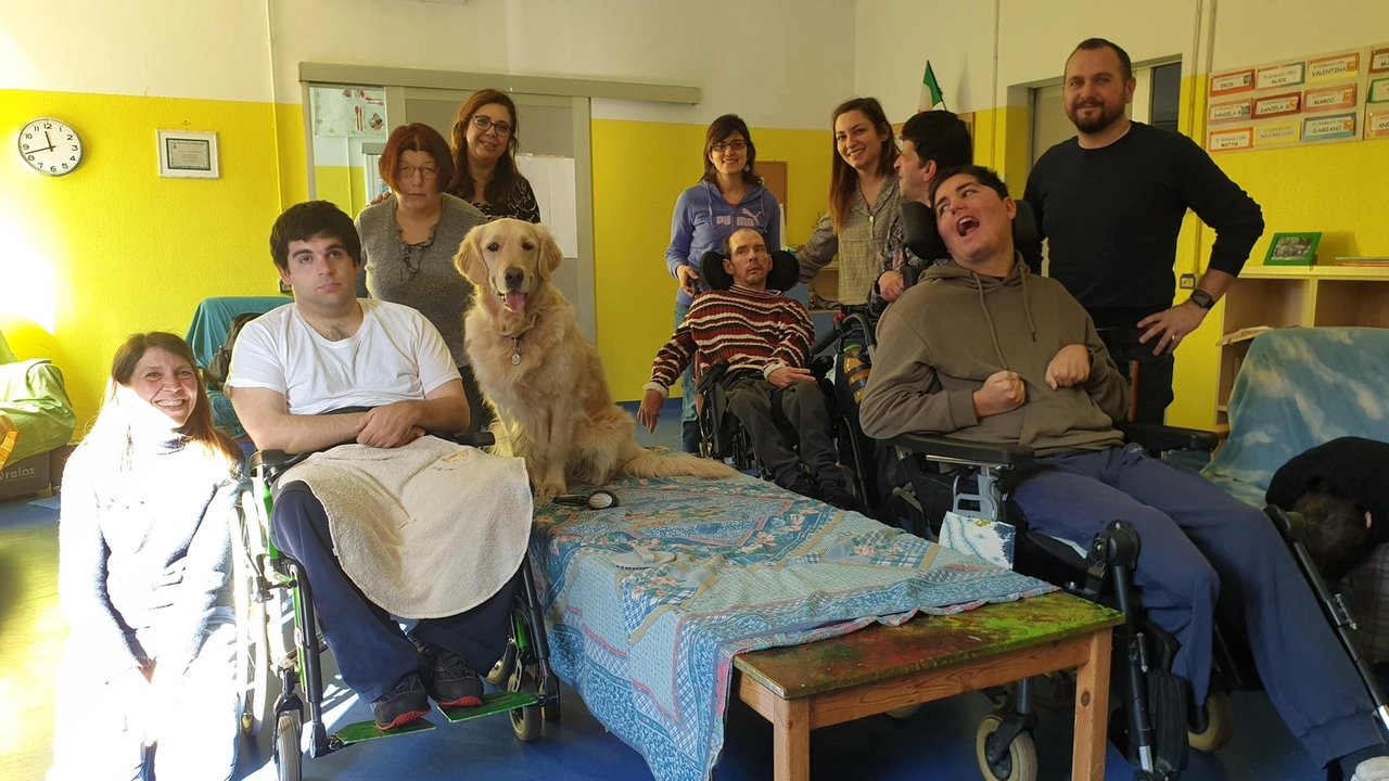 La storica cooperativa di Paderno Dugnano, attiva sul territorio dal 1988 "Assistenza domiciliare e servizi diffusi: ascoltiamo i bisogni della comunità". La storica cooperativa di Paderno Dugnano, attiva sul territorio dal 1988 "Assistenza domiciliare e servizi diffusi: ascoltiamo i bisogni della comunità".