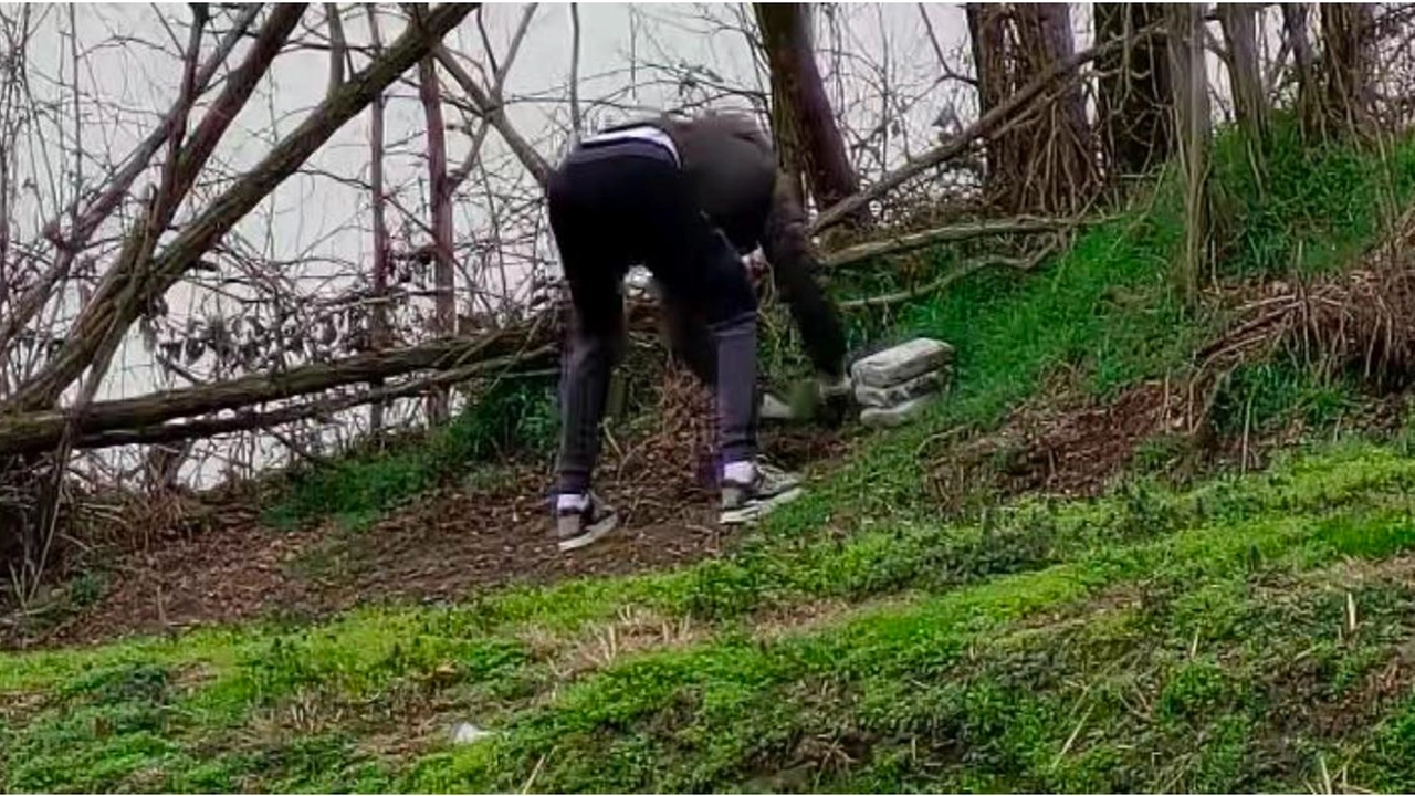 La droga veniva nascosta in buche appositamente realizzate nei boschi La droga veniva nascosta in buche appositamente realizzate nei boschi