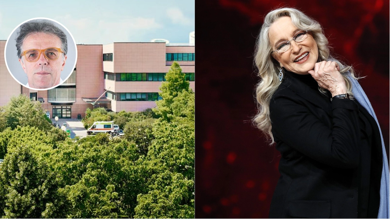 Il professor Armando Santoro dell'Humanitas seguì inizialmente il caso di Eleonora Giorgi, morta oggi per un tumore al pancreas Il professor Armando Santoro dell'Humanitas seguì inizialmente il caso di Eleonora Giorgi, morta oggi per un tumore al pancreas