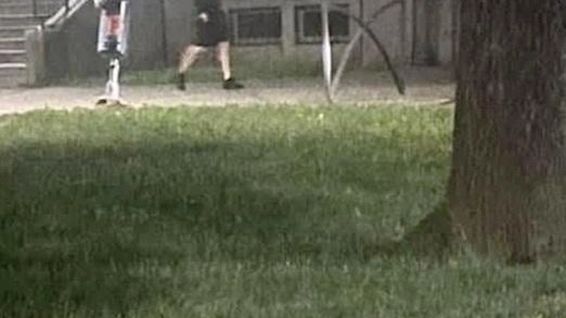 Spazi davanti alla scuola Sciviero, Brugherio, una settimana fa. Nella notte tra sabato e domenica all’1.30 circa, un gruppo di... Spazi davanti alla scuola Sciviero, Brugherio, una settimana fa. Nella notte tra sabato e domenica all’1.30 circa, un gruppo di...