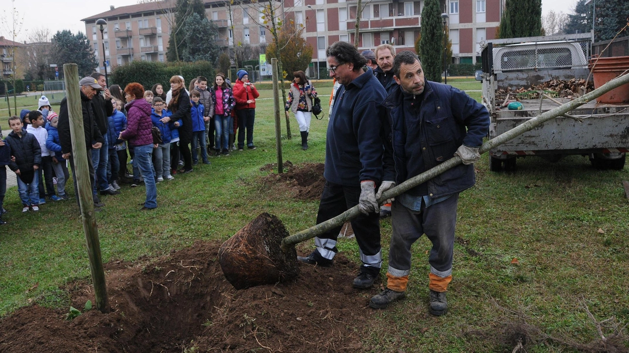 Piantumazione di alberi e guerra allo smog Tani i Comuni che hanno usufruito dei fondi per il bosco del Parco del ticino Piantumazione di alberi e guerra allo smog Tani i Comuni che hanno usufruito dei fondi per il bosco del Parco del ticino