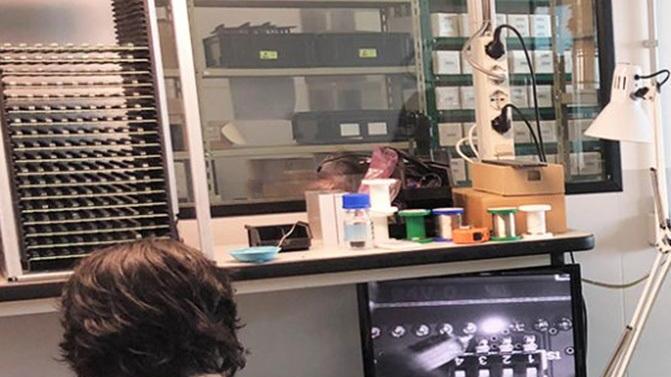 dal floriani ai tirocini in azienda cipierre recluta gli studenti