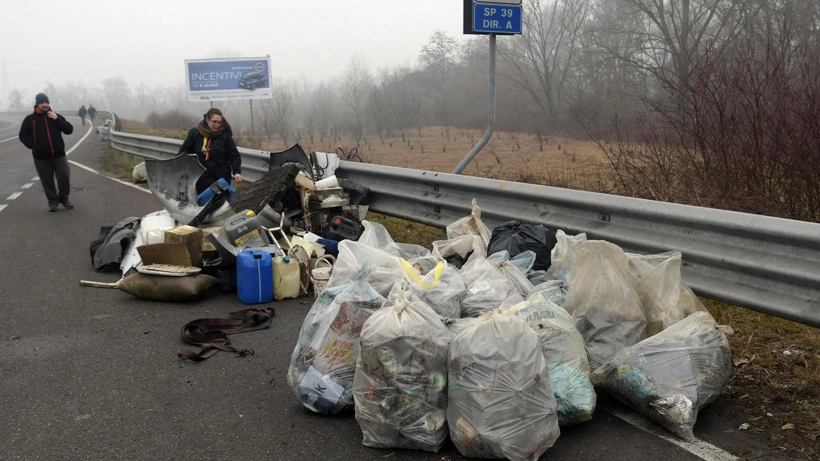 A oltre un anno dal repulisti del 2024, che aveva permesso di liberare i margini della strada da centinaia... A oltre un anno dal repulisti del 2024, che aveva permesso di liberare i margini della strada da centinaia...