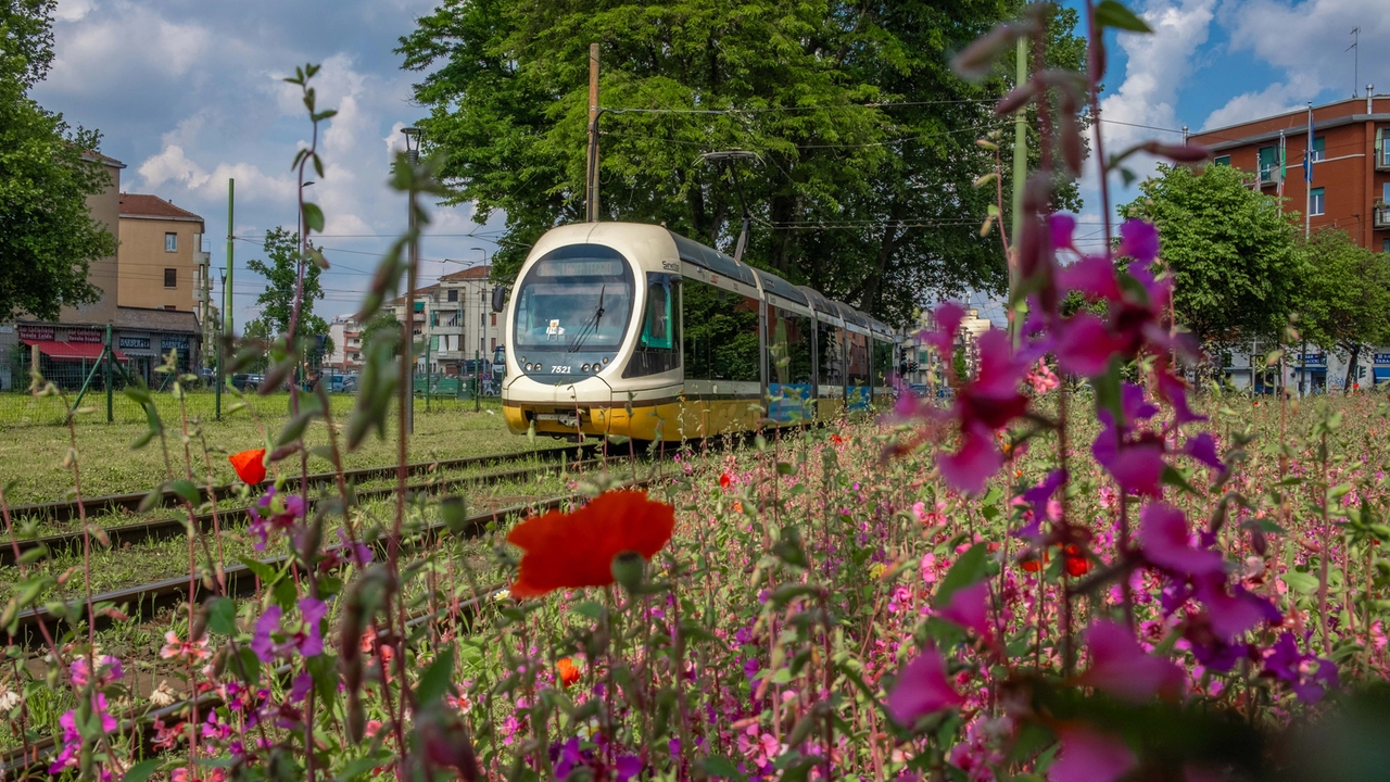 A sinistra, il nuovo ponte di San Cristoforo; sopra, il tram che attraversa Lorenteggio A sinistra, il nuovo ponte di San Cristoforo; sopra, il tram che attraversa Lorenteggio