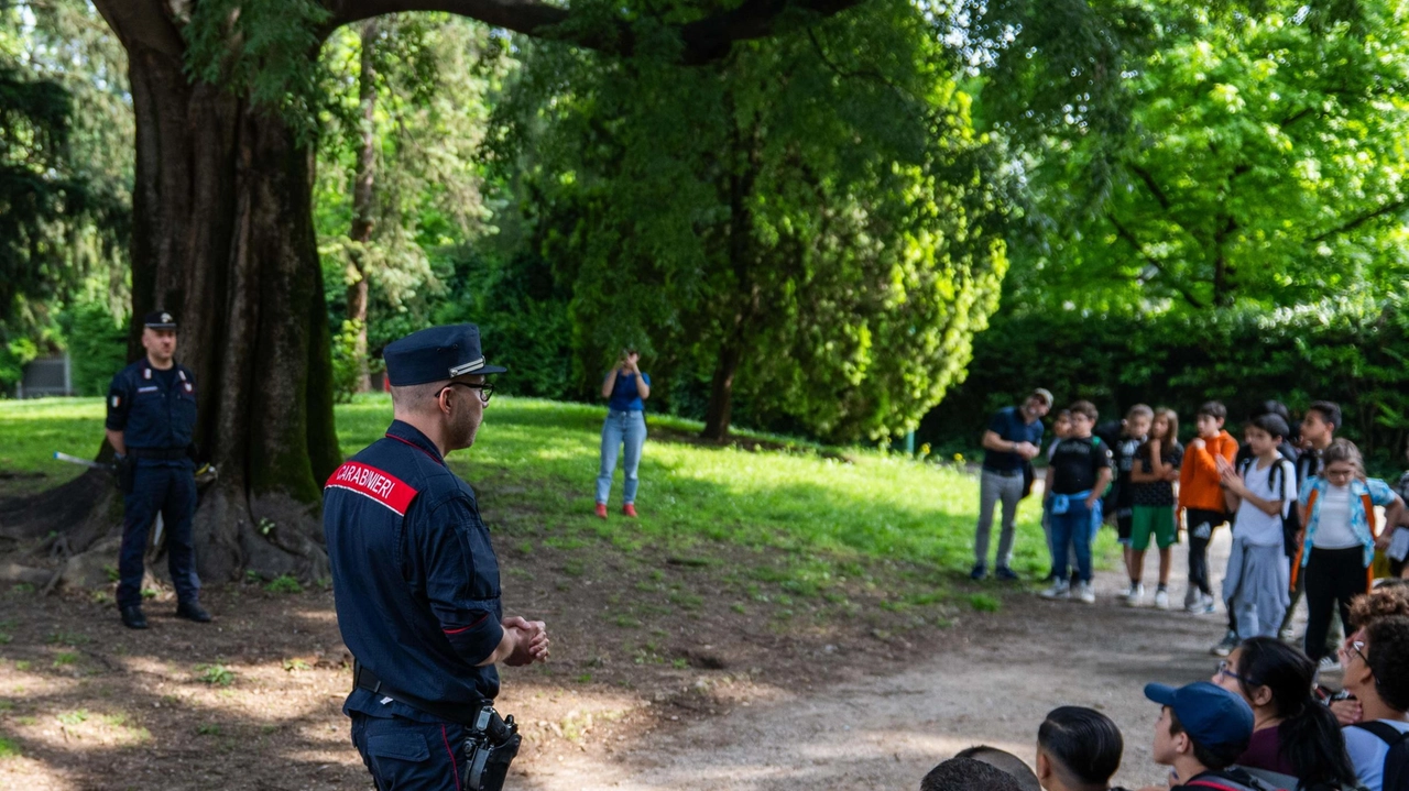 Gli alberi monumentali. Tour per scoprire i segreti. Dalla Quercia Montale alla Noce del Caucaso