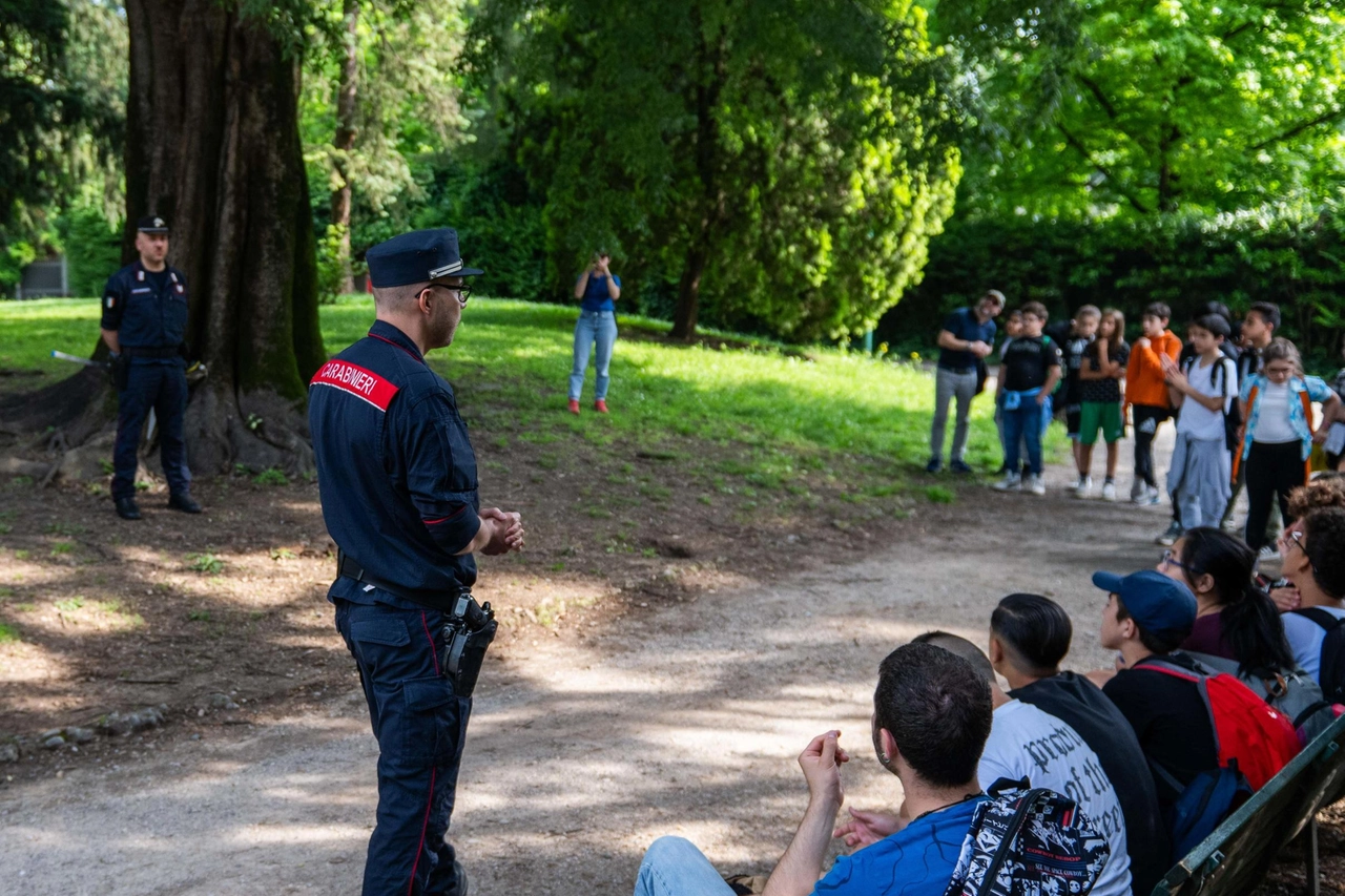 Gli alberi monumentali. Tour per scoprire i segreti. Dalla Quercia Montale alla Noce del Caucaso