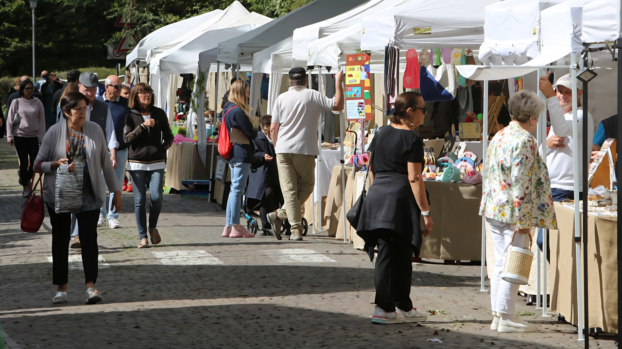 Un weekend di iniziative per la kermesse in miniatura che tiene compagnia al pubblico in attesa dell’evento. Oggi le visite del Fai al Casino di caccia Borromeo con gli affreschi del ’400 e alla chiesa di San Michele. Un weekend di iniziative per la kermesse in miniatura che tiene compagnia al pubblico in attesa dell’evento. Oggi le visite del Fai al Casino di caccia Borromeo con gli affreschi del ’400 e alla chiesa di San Michele.