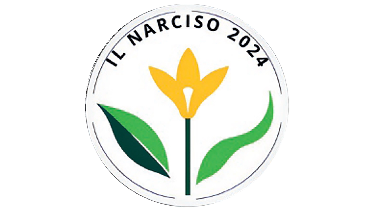 Il Narciso di Caravaggio