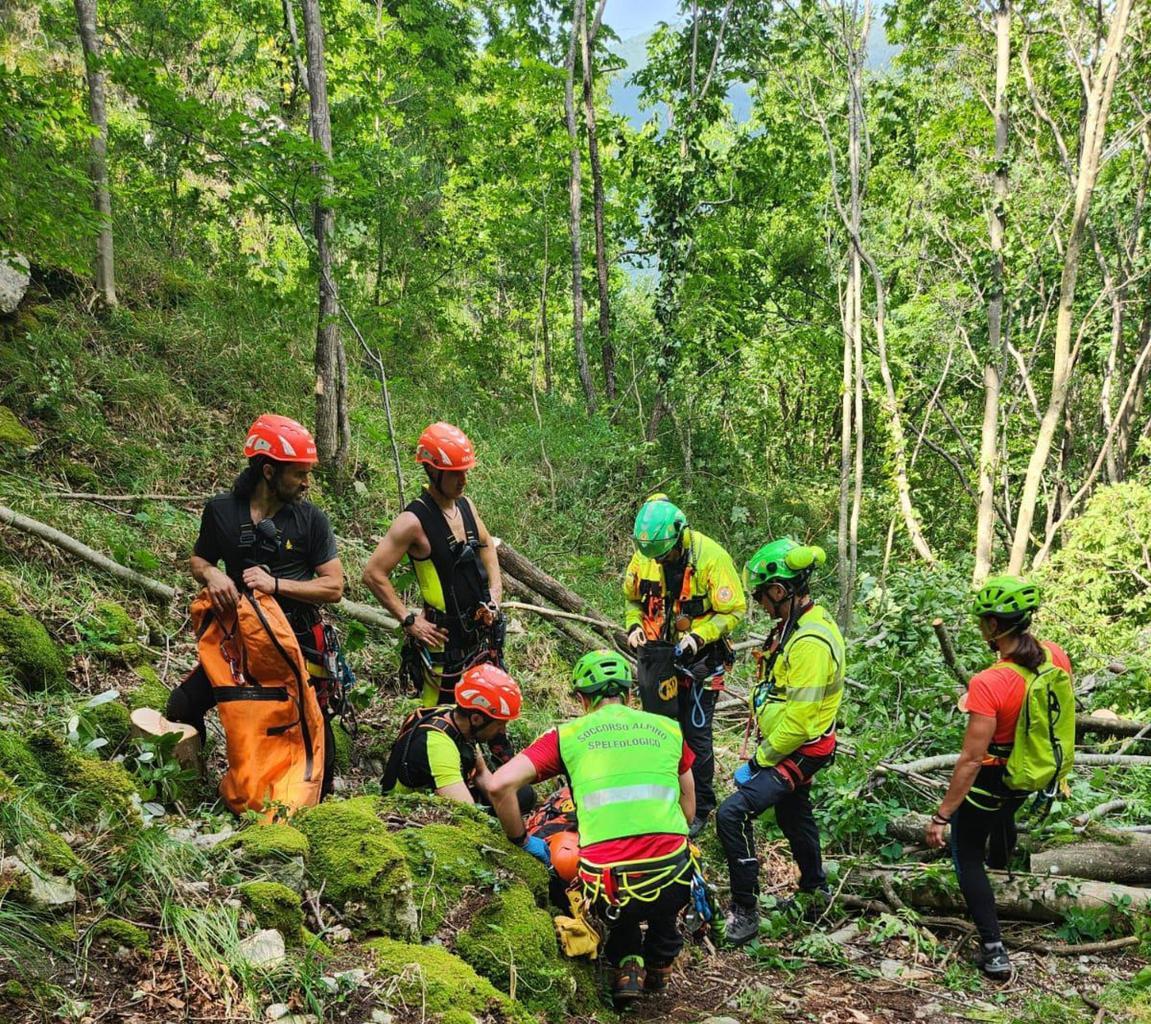 Disperso mentre cerca funghi. Pensionato trovato morto nei boschi della val di Sole Disperso mentre cerca funghi. Pensionato trovato morto nei boschi della val di Sole