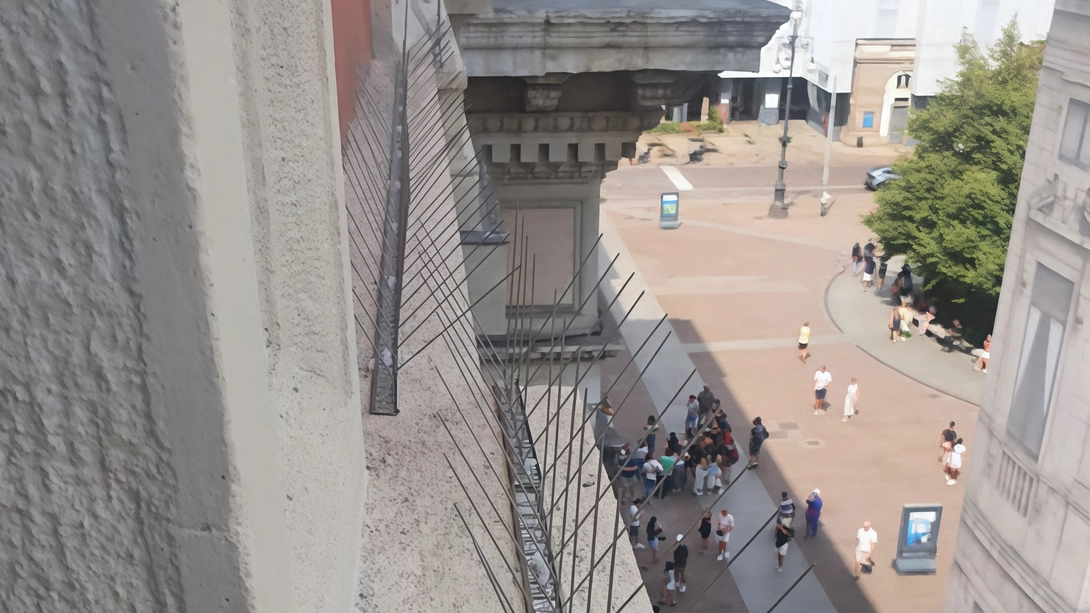 Il consigliere comunale Carlo Monguzzi denuncia l'utilizzo di pericolosi spuntoni di metallo per respingere gli uccelli dal palazzo dei consiglieri comunali a Milano. L'associazione Gaia Animali e Ambiente chiede la sostituzione con dissuasori sintetici per evitare sofferenze agli animali. Il consigliere comunale Carlo Monguzzi denuncia l'utilizzo di pericolosi spuntoni di metallo per respingere gli uccelli dal palazzo dei consiglieri comunali a Milano. L'associazione Gaia Animali e Ambiente chiede la sostituzione con dissuasori sintetici per evitare sofferenze agli animali.