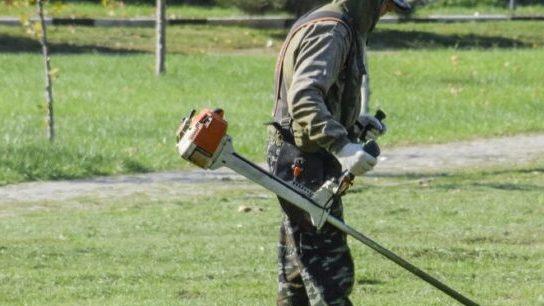 Vimodrone erba da Ilgiorno.it vimodrone erba alta al parco gli sfalci ridotti sono studiati l obiettivo è la sostenibilità
