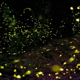 Cosa fare in Lombardia nel weekend dal 30 maggio al 2 giugno 2025, notti magiche tra sagre, lucciole e grotte da esplorare