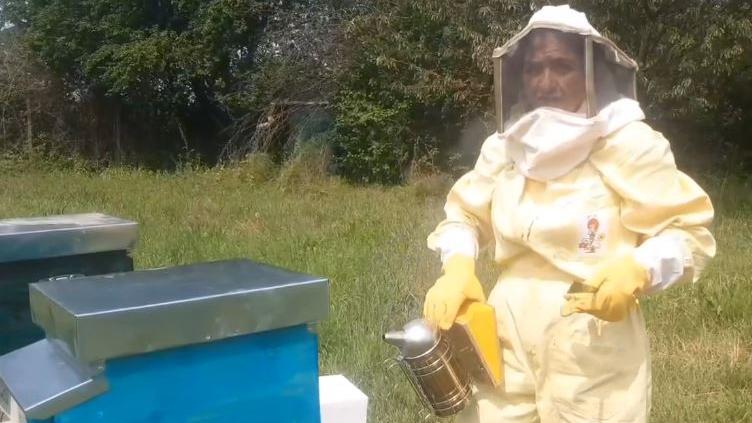 Contro la violenza sulle donne ci sono i corsi gratuiti di apicoltura, “per ripartire stando nella natura”. Un aiuto a chi ha subito abusi Contro la violenza sulle donne ci sono i corsi gratuiti di apicoltura, “per ripartire stando nella natura”. Un aiuto a chi ha subito abusi