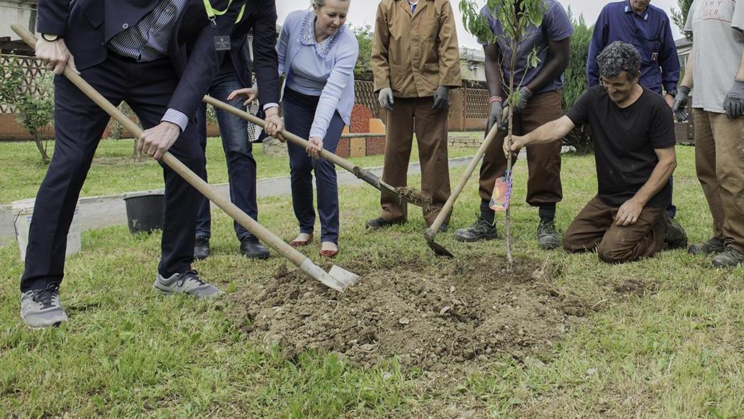 Ex Hupac, nasce il parco della salute: la comunità di Busto Arsizio decide il futuro