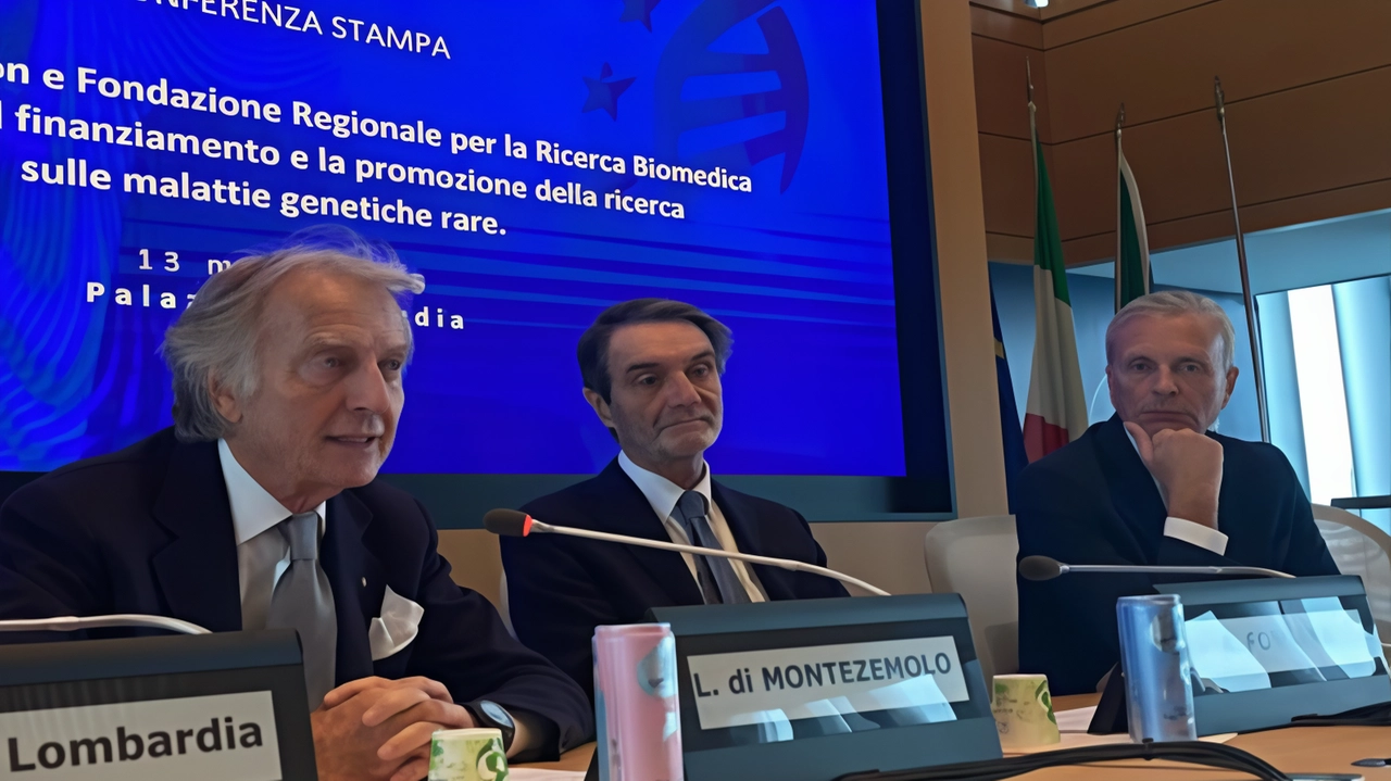 Al bando di Frrb si sono candidati 196 progetti. Montezemolo: così diamo speranza a malati “orfani“ di terapie Al bando di Frrb si sono candidati 196 progetti. Montezemolo: così diamo speranza a malati “orfani“ di terapie