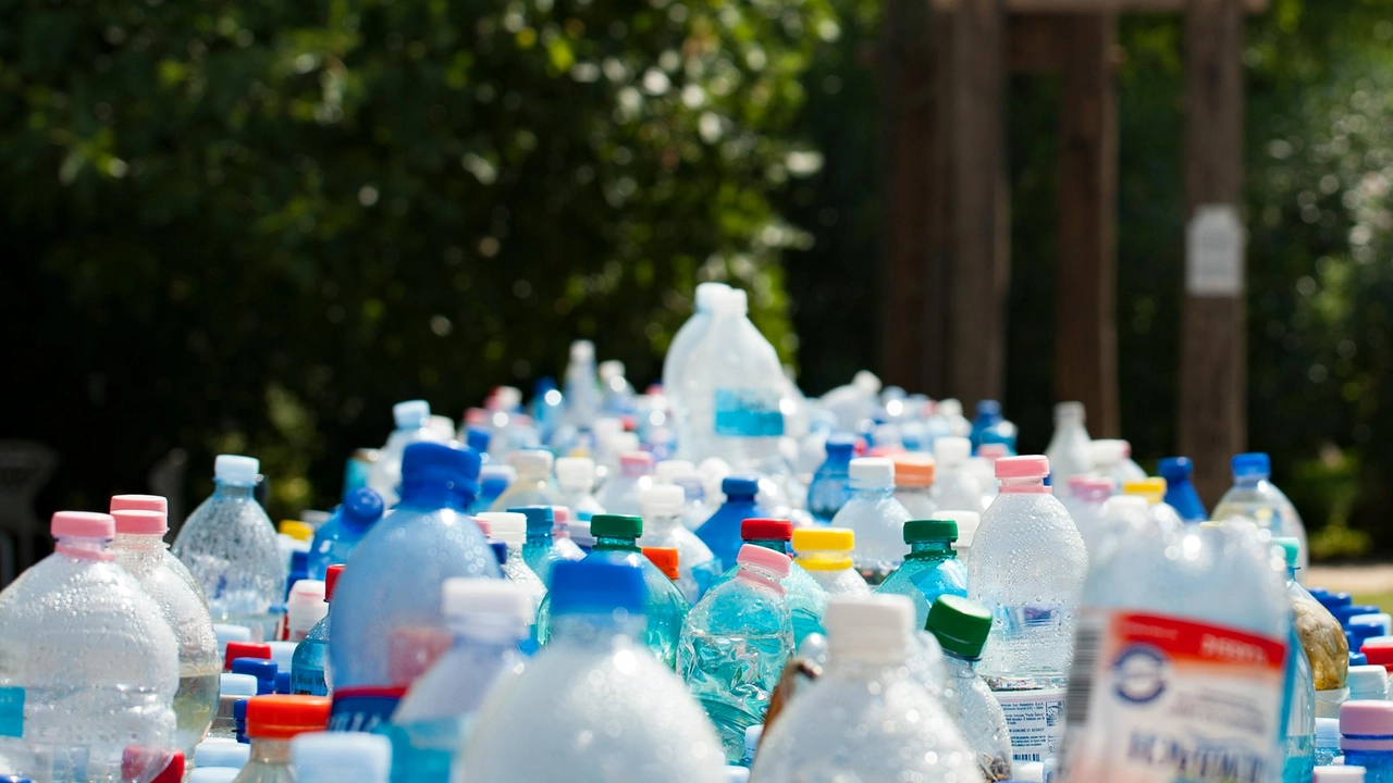La plastica La plastica