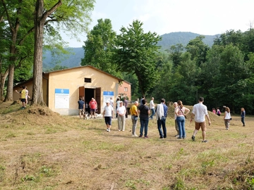 immagine articolo