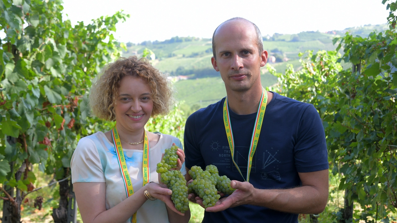 Silvia Garavaglia, presidente di Coldiretti Pavia, con Federico De Filippi, titolare dell’omonima azienda agricola che ha ospitato il via alla vendemmia in Oltrepò Silvia Garavaglia, presidente di Coldiretti Pavia, con Federico De Filippi, titolare dell’omonima azienda agricola che ha ospitato il via alla vendemmia in Oltrepò