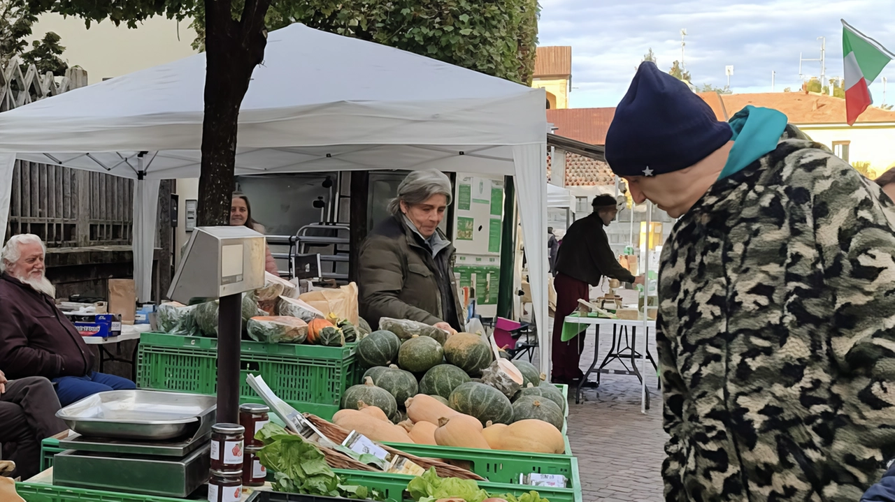 La festa di San Martino a Bellusco celebra l'agricoltura e la patronale con eventi culturali e sportivi, riflessioni sull'ambiente e la convivenza, e un'opera collettiva dedicata alla Pace. La festa di San Martino a Bellusco celebra l'agricoltura e la patronale con eventi culturali e sportivi, riflessioni sull'ambiente e la convivenza, e un'opera collettiva dedicata alla Pace.