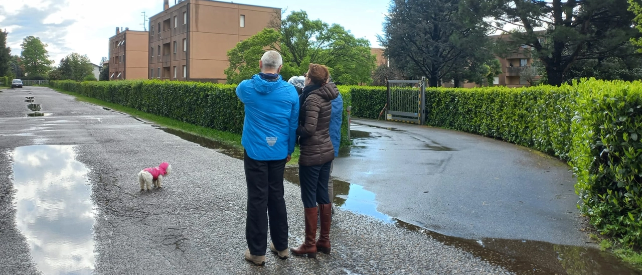 Femminicidio di Samarate, Teresa Stabile uccisa dal marito davanti casa. I vicini: “Non potremo mai dimenticare quelle urla disperate lungo la via”