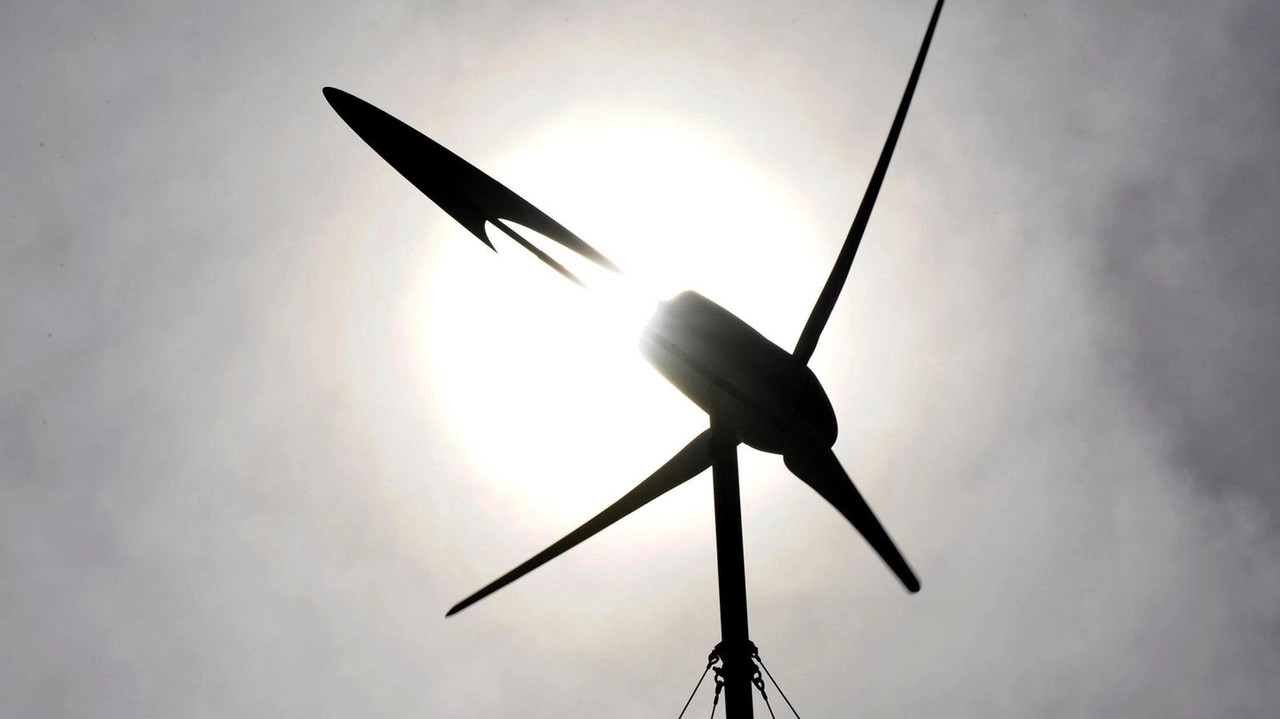 Legambiente sottolinea l'importanza di innovare e decarbonizzare per competere globalmente e aumentare l'occupazione. Legambiente sottolinea l'importanza di innovare e decarbonizzare per competere globalmente e aumentare l'occupazione.