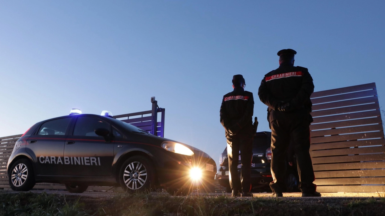 Indagano i carabinieri (foto di repertorio)