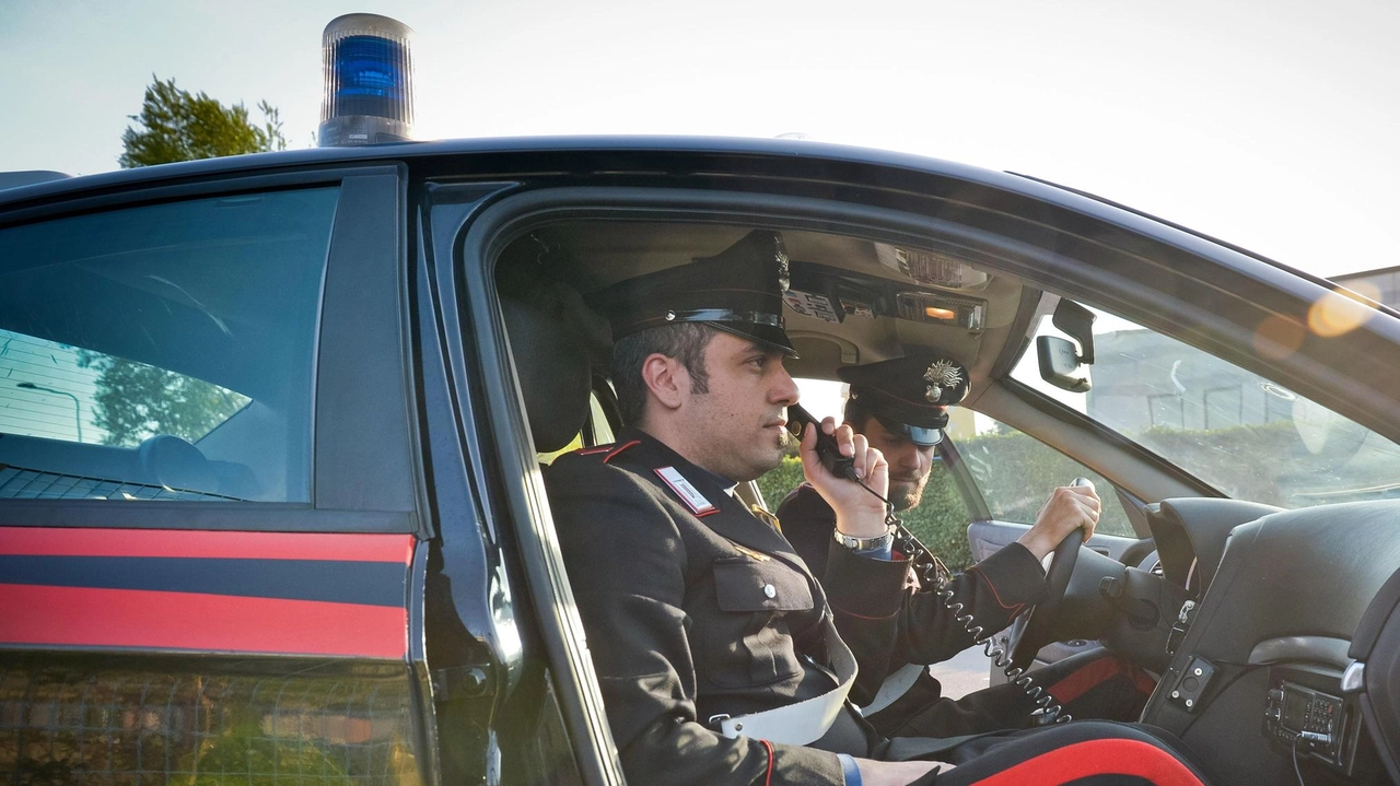 Le parti del ponteggio già caricate sul camion sono state restituite al legittimo proprietario Le parti del ponteggio già caricate sul camion sono state restituite al legittimo proprietario