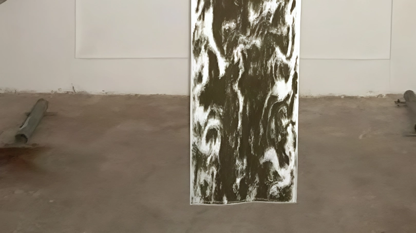 L’opera in mostra, una foto spalmata su tessuto di fibre plastiche L’opera in mostra, una foto spalmata su tessuto di fibre plastiche