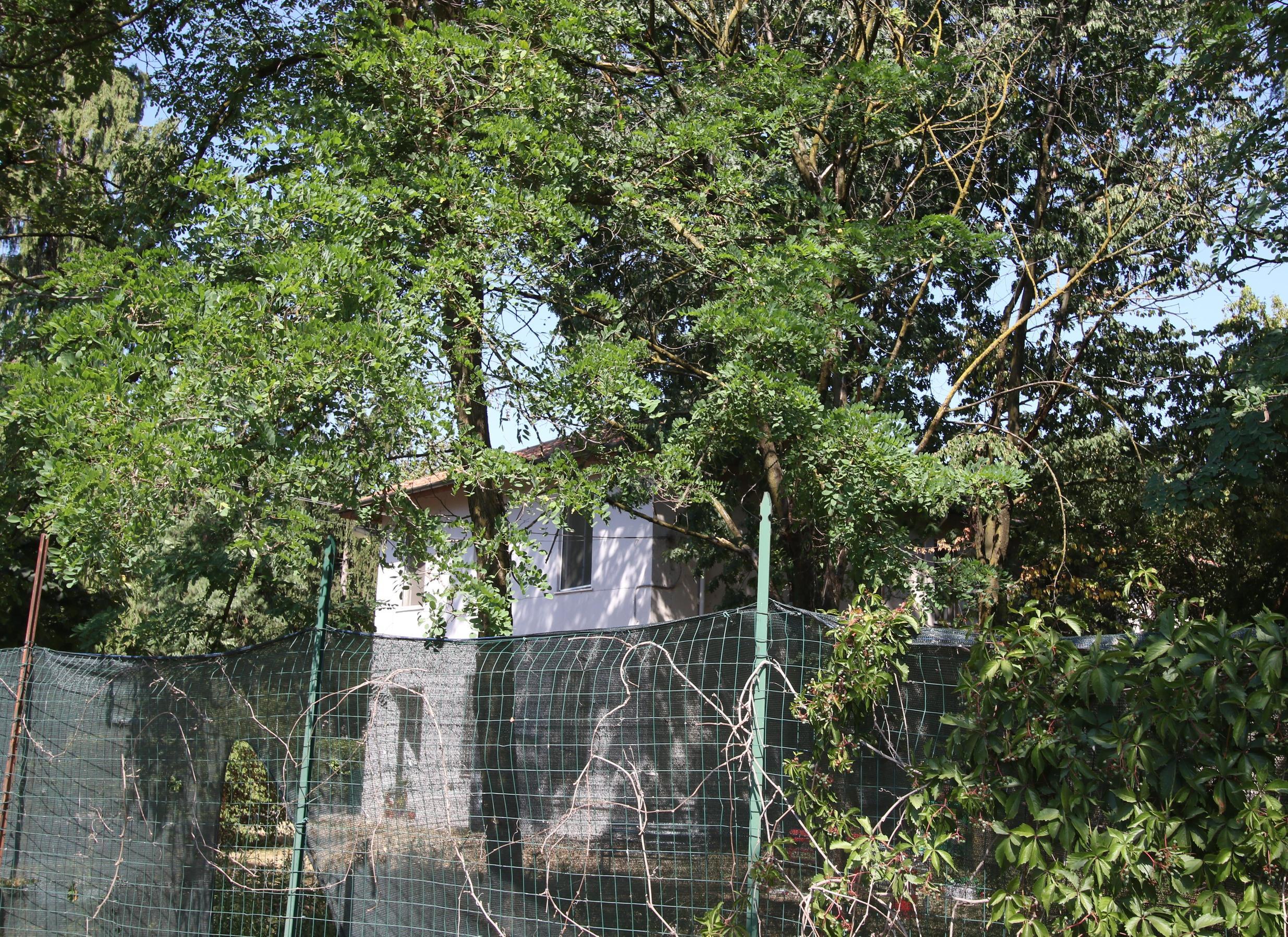 Blitz alla Casa del Giovane. Allontanate 16 persone 15enne fermato per rapine Blitz alla Casa del Giovane. Allontanate 16 persone 15enne fermato per rapine