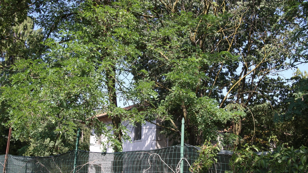 Il complesso di via Falck è meta di senza fissa dimora, molti minorenni. L’area è stata dismessa a fine 2023 in vista di un progetto di rigenerazione. . Il complesso di via Falck è meta di senza fissa dimora, molti minorenni. L’area è stata dismessa a fine 2023 in vista di un progetto di rigenerazione. .