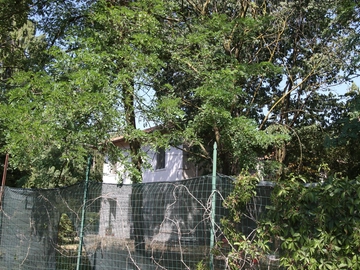 immagine articolo