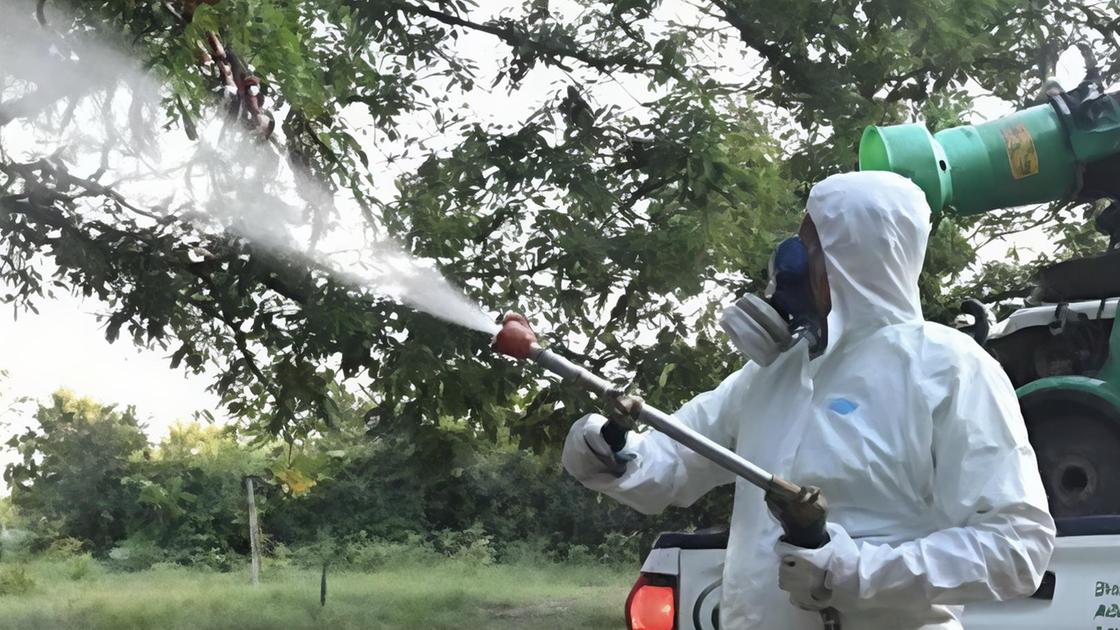sospetto caso di dengue a monza disinfestazione straordinaria da stasera a mercoled236 6 agosto