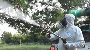 Sospetto caso di Dengue a Monza: disinfestazione straordinaria da stasera a mercoledì 6 agosto