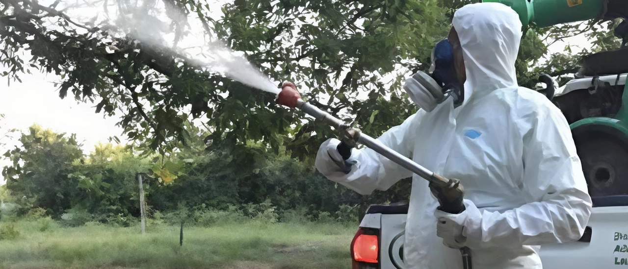 Sospetto caso di Dengue a Monza: disinfestazione straordinaria da stasera a mercoledì 6 agosto
