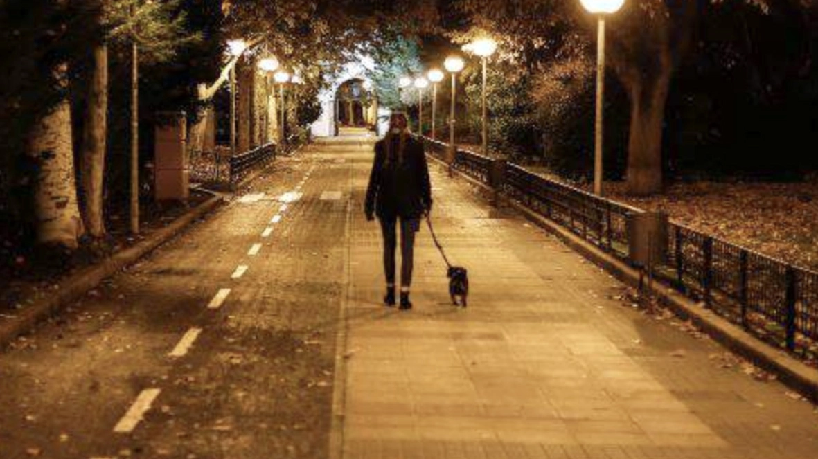 Una tranquilla passeggiata col proprio cane alla sera ha rischiato di trasformarsi in una tragedia Una tranquilla passeggiata col proprio cane alla sera ha rischiato di trasformarsi in una tragedia