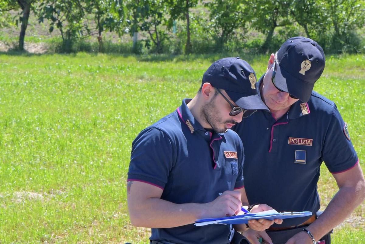 Fermato per un controllo. Spacca il naso all’agente