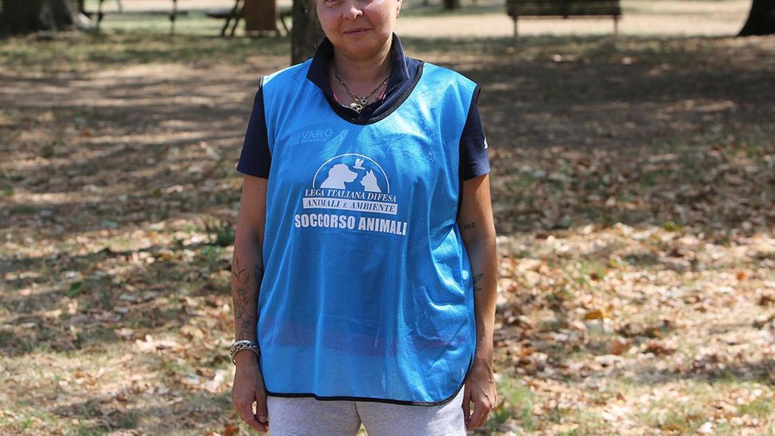 Il cimitero (mancato) degli animali. Chiesto 8 anni fa, ancora non c’è Il cimitero (mancato) degli animali. Chiesto 8 anni fa, ancora non c’è