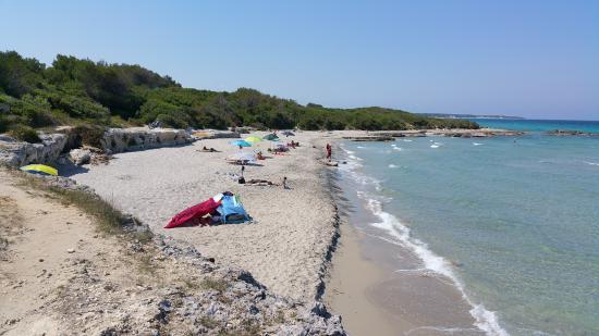violenza in spiaggia in salento turista comasca avvicinata e molestata alla baia dei turchi salvata dall intervento dei bagnanti da Ilgiorno.it violenza in spiaggia in salento turista comasca avvicinata e molestata alla baia dei turchi salvata dall intervento dei bagnanti
