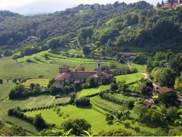 immagine articolo