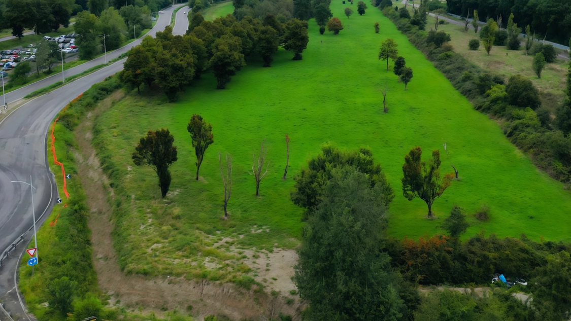 Col progetto "Spugna", piazze, parcheggi e sedimi stradali aumentano la capacità di assorbire l’acqua piovana, evitando ristagni e allagamenti.... Col progetto "Spugna", piazze, parcheggi e sedimi stradali aumentano la capacità di assorbire l’acqua piovana, evitando ristagni e allagamenti....