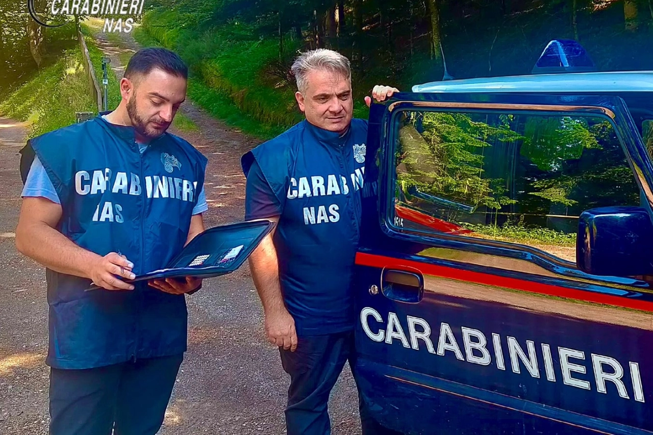 Le verifiche sono coordinate dal reparto Nas di Cremona, intervenuto nel Mantovano