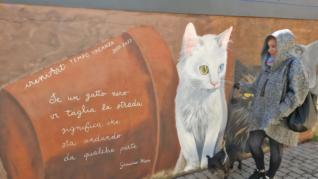 “Murales in musica“: stasera al centro socioculturale Coop di Novate i muri dipinti della città diventano musica grazie alla... “Murales in musica“: stasera al centro socioculturale Coop di Novate i muri dipinti della città diventano musica grazie alla...