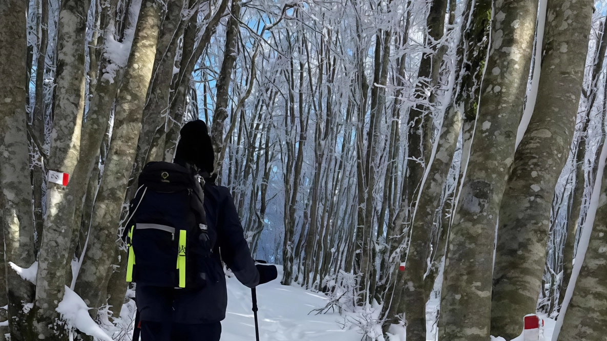 Appuntamento con le ciaspole a Mamentino il 15 febbraio, dove la locale Polisportiva, organizza la XVIma edizione di “Ciaspolario“, un... Appuntamento con le ciaspole a Mamentino il 15 febbraio, dove la locale Polisportiva, organizza la XVIma edizione di “Ciaspolario“, un...