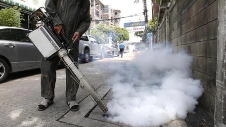 Disinfestazione contro il rischio di un’epidemia da Dengue (foto generica) Disinfestazione contro il rischio di un’epidemia da Dengue (foto generica)