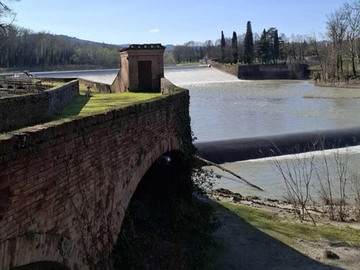 immagine articolo