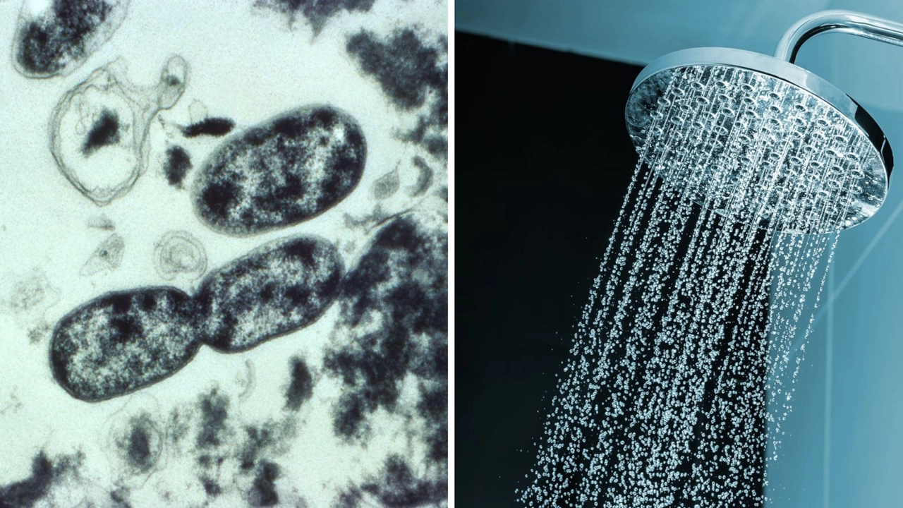 Il batterio della legionella: uno dei consigli per prevenire l'infezione è far scorrere l'acqua per circa 5 minuti prima di fare la doccia Il batterio della legionella: uno dei consigli per prevenire l'infezione è far scorrere l'acqua per circa 5 minuti prima di fare la doccia
